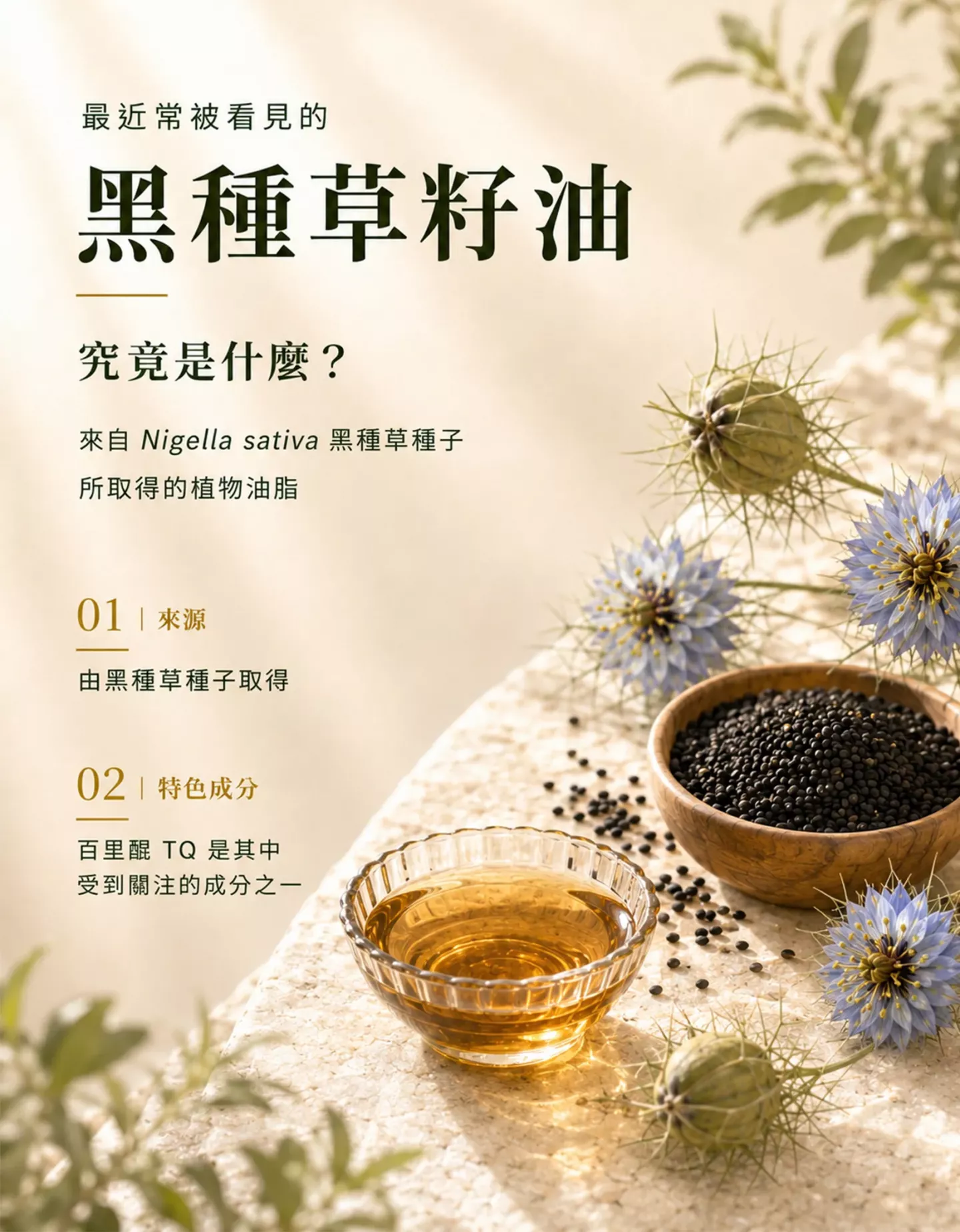 黑種草籽油來源介紹,Nigella sativa 黑種草種子與植物油脂