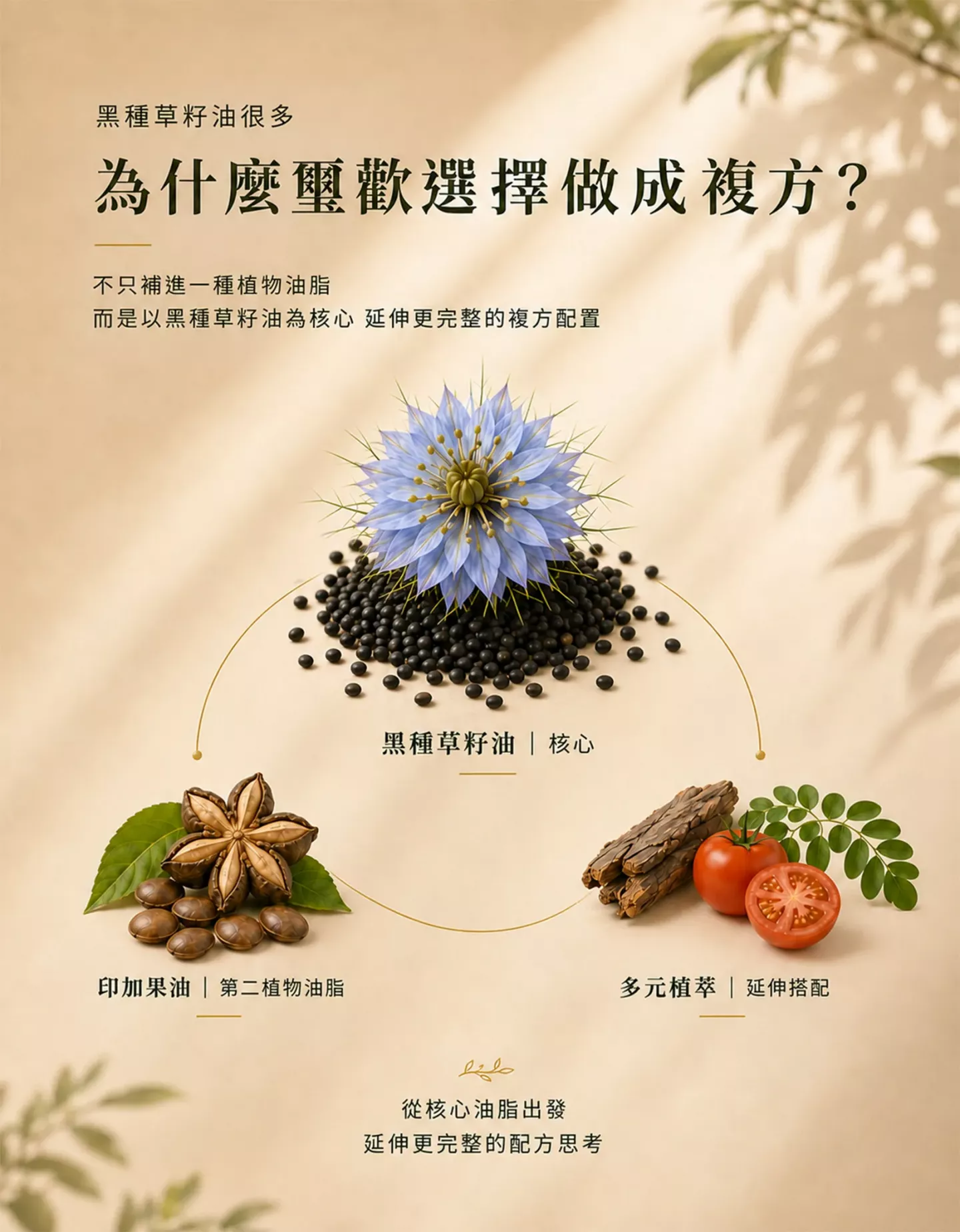 黑種草籽油複方設計,搭配印加果油與多元植物萃取