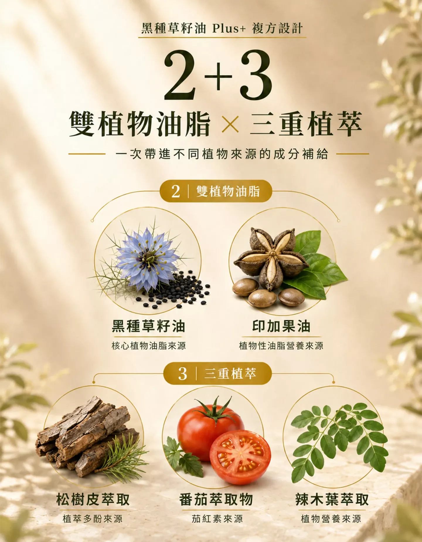 黑種草籽油 Plus+ 複方成分,黑種草籽油、印加果油、松樹皮、番茄與辣木葉萃取